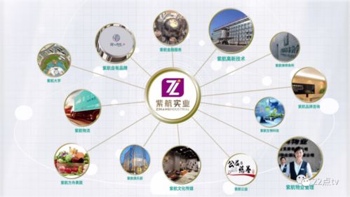 格调生活，从“紫航方舟”开始——让世界如此美好