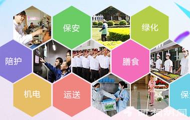 医院后勤物业管理服务标书制作实战指南