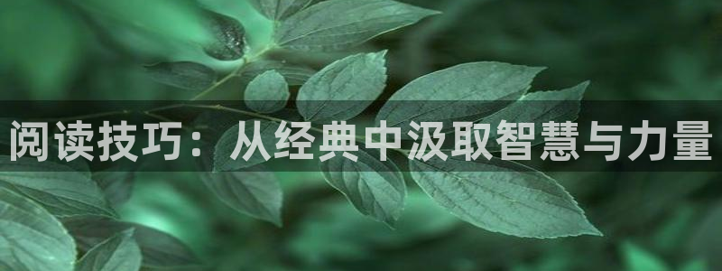 soushu搜书吧：阅读技巧：从经典中汲取智慧与力量